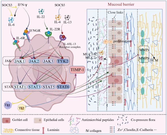 Figure 5