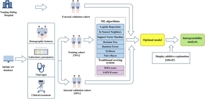 FIGURE 3