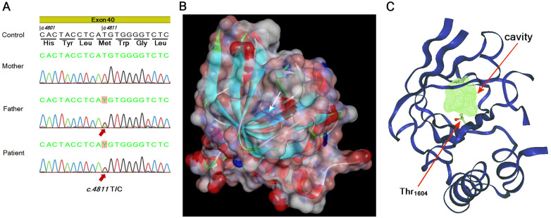 Figure 3
