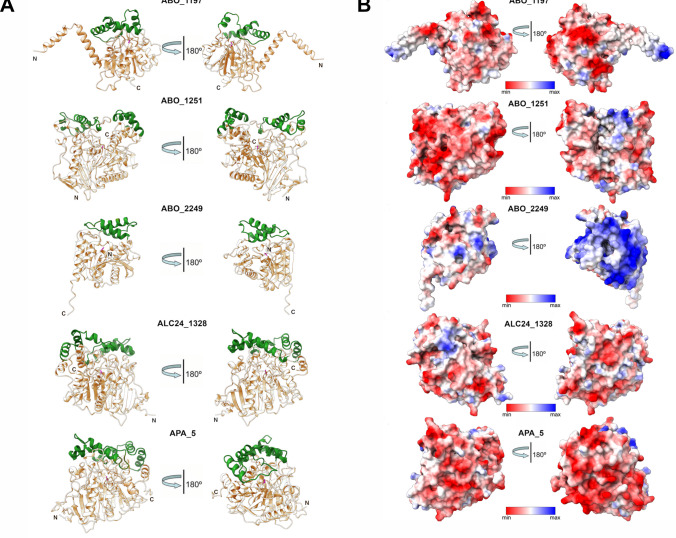 Figure 10