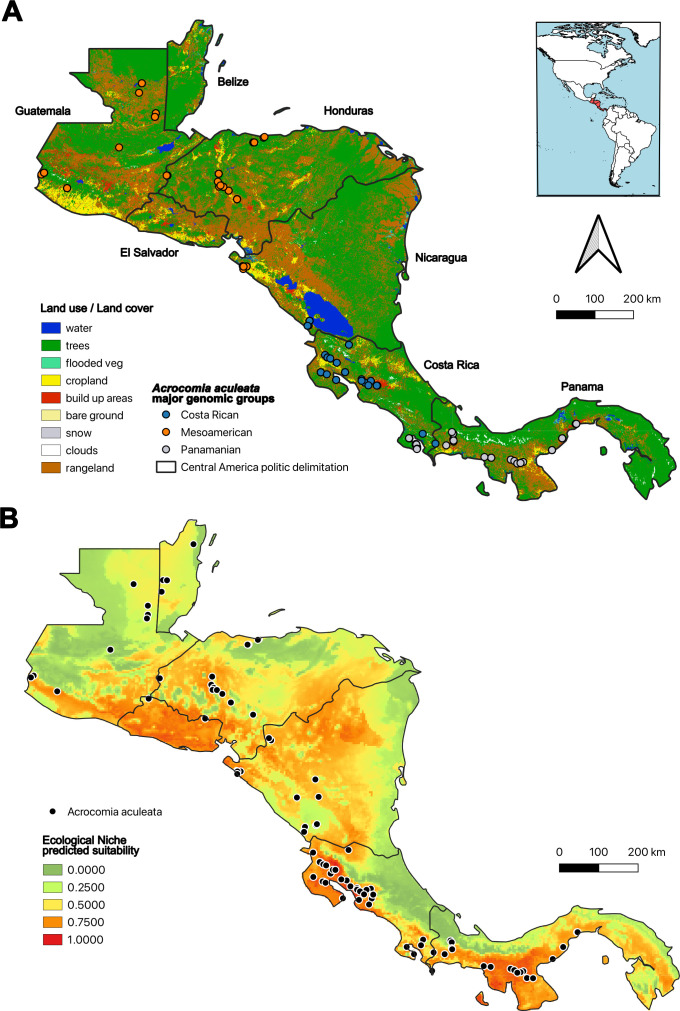 Figure 4