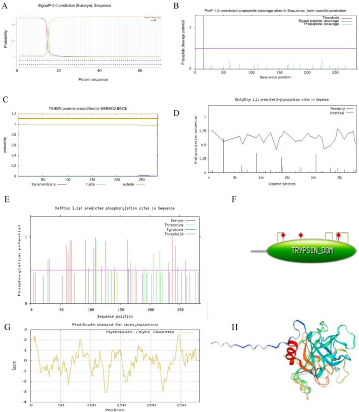 FIGURE 3
