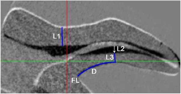 Figure 3