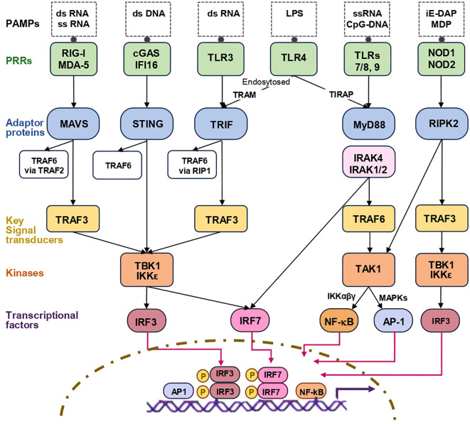 Figure 1