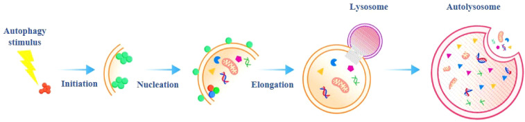 Figure 2
