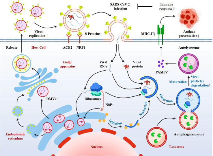 Figure 3