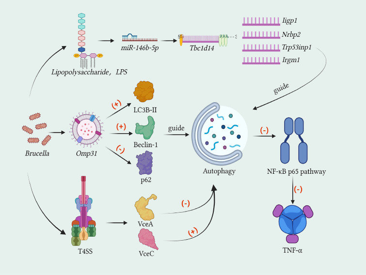 Figure 6