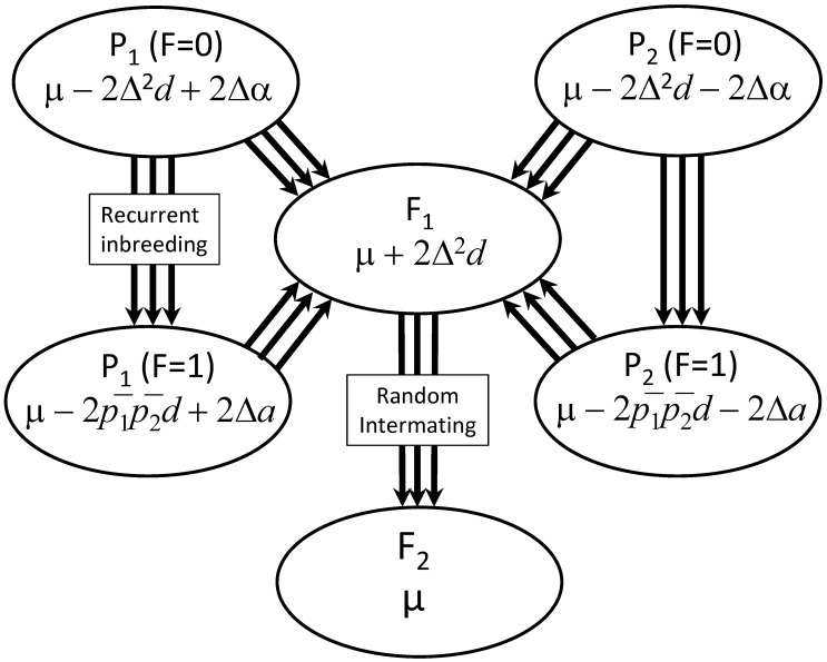 Figure 1