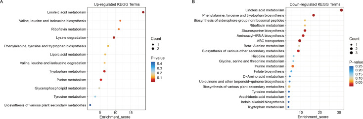 Figure 4