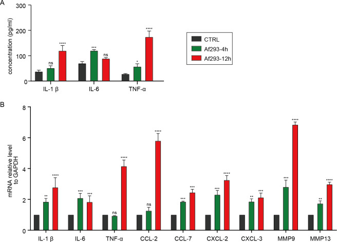 Figure 5