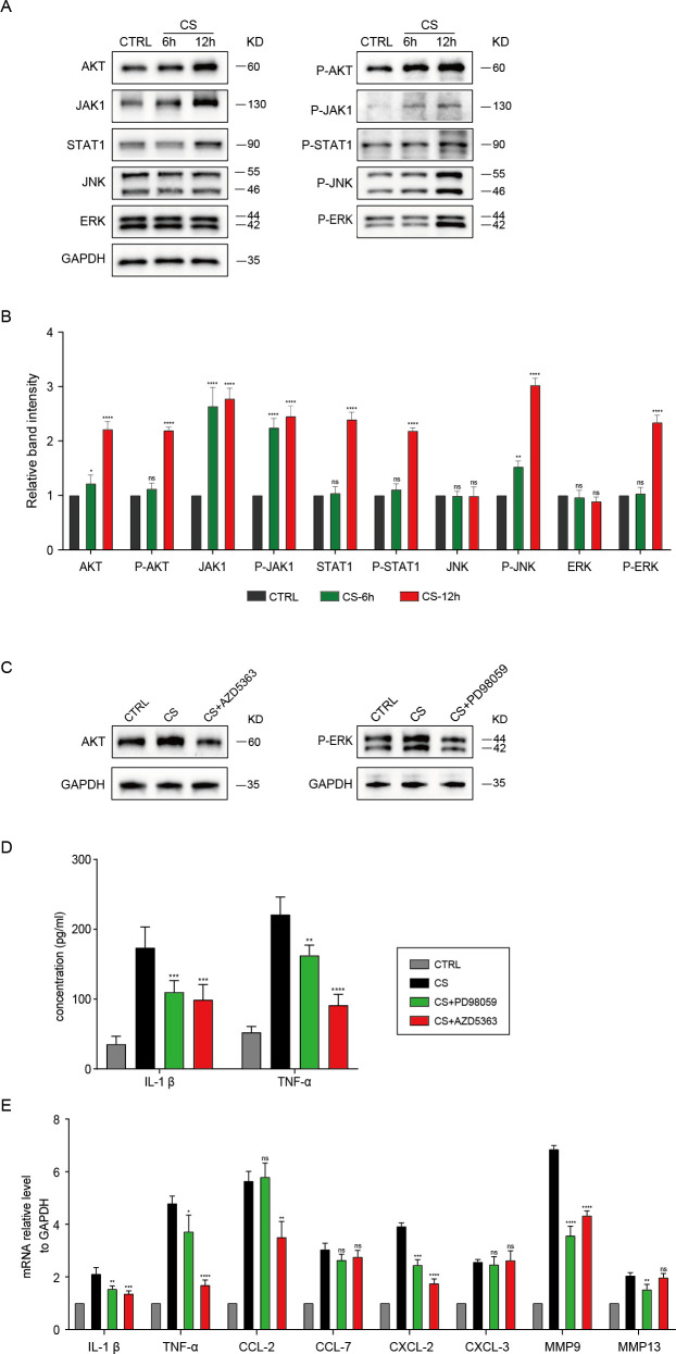 Figure 6