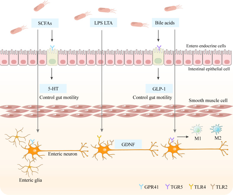 Figure 2