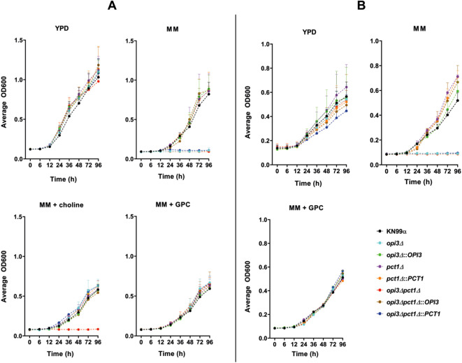 Figure 2