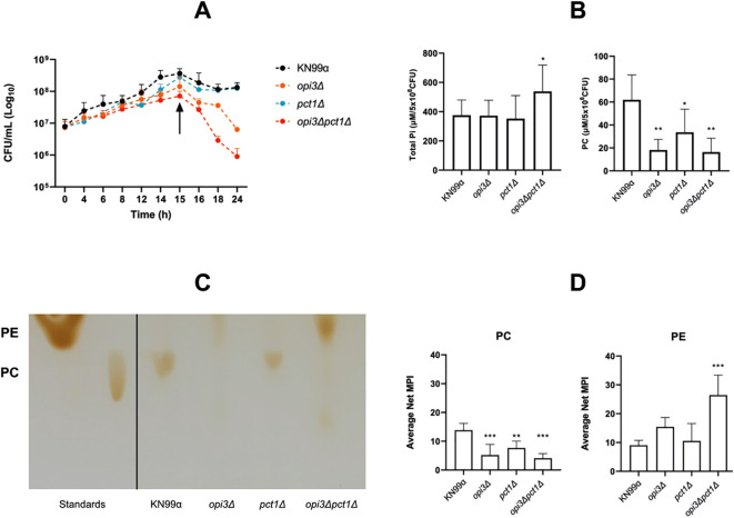 Figure 6