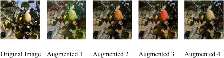 Figure 3