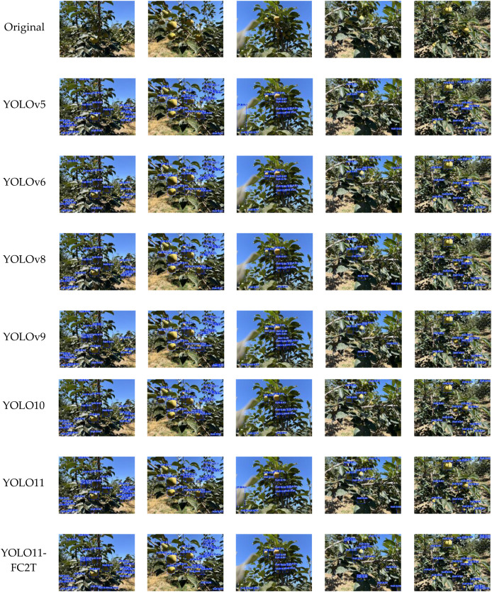 Figure 11