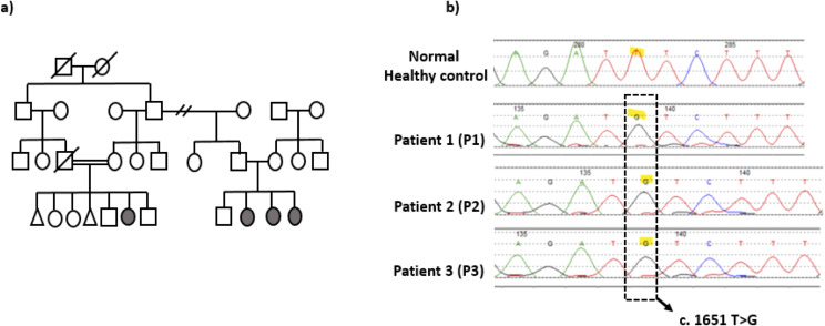 Figure 1
