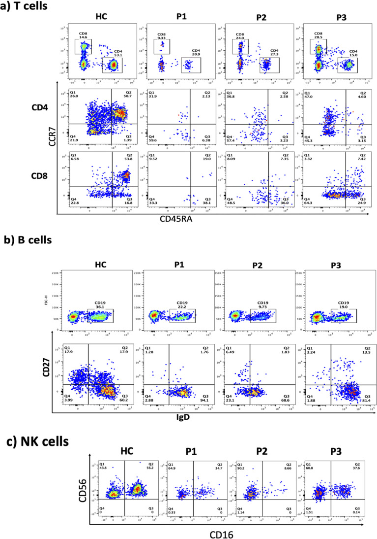 Figure 2