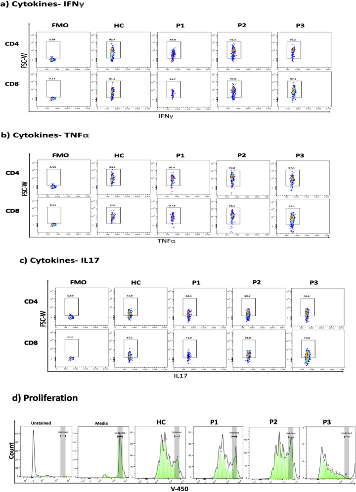 Figure 4