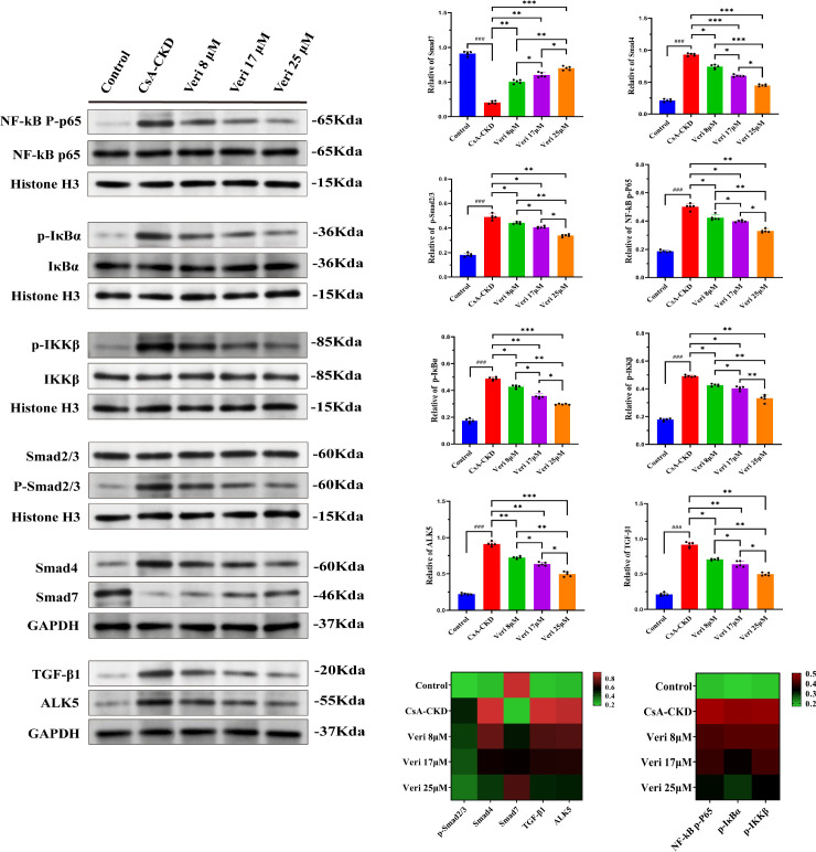 Figure 11