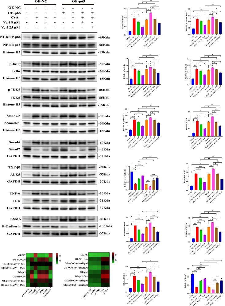 Figure 13