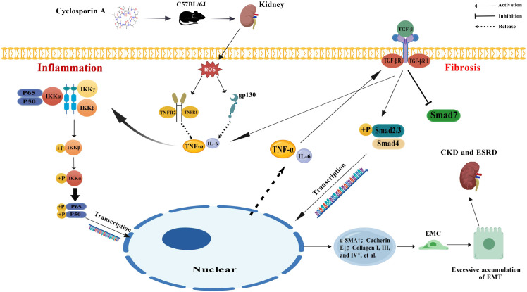 Figure 14