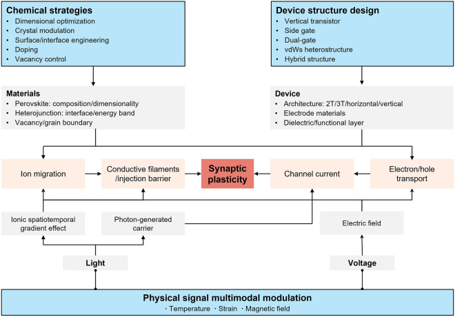 Figure 19