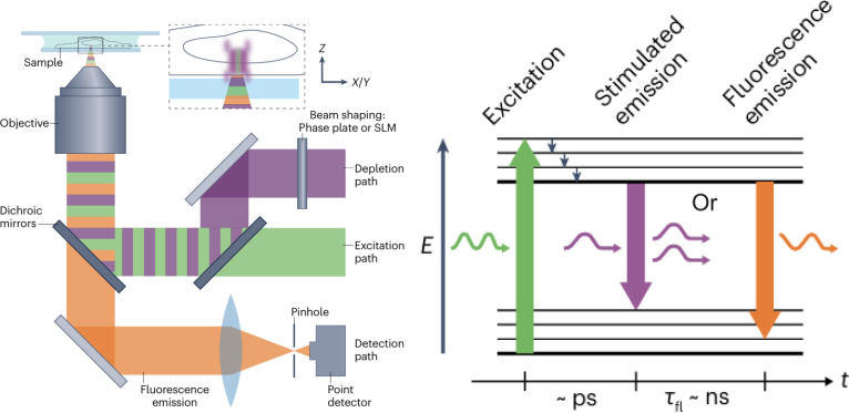 Fig. 2
