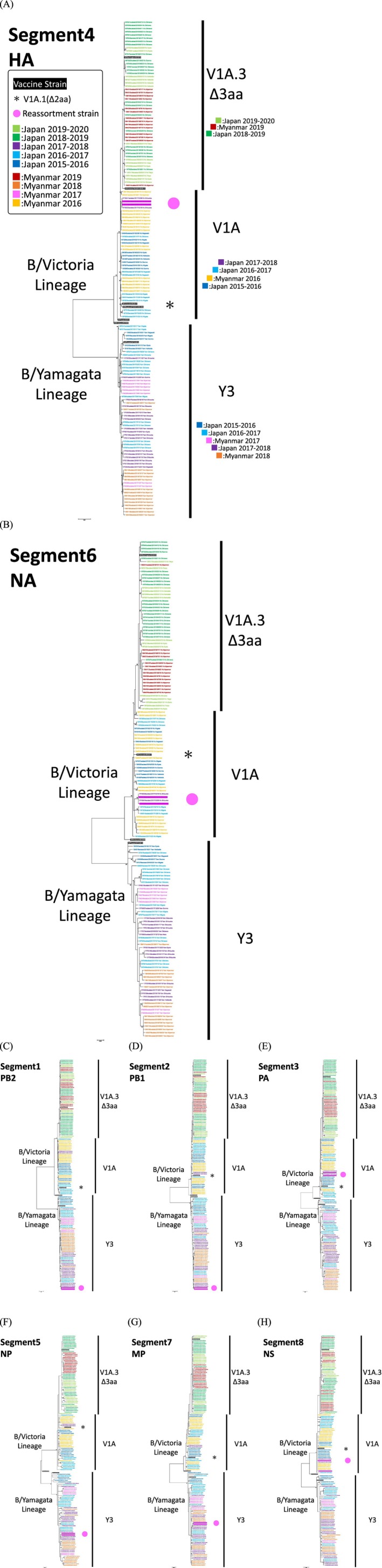 FIGURE 3