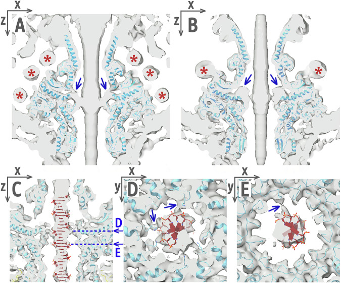 Figure 5