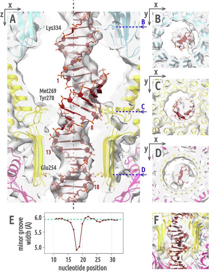 Figure 6