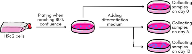Figure 8