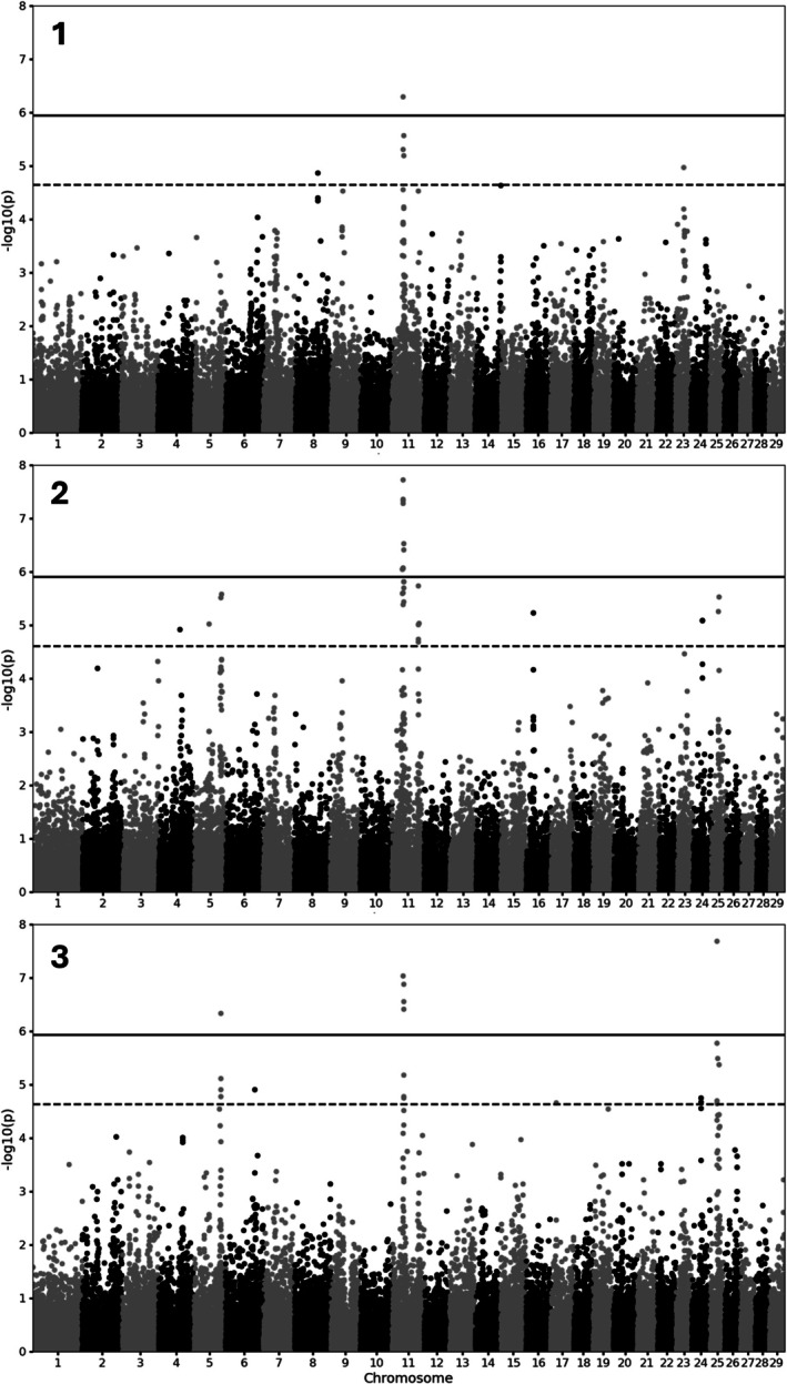 FIGURE 4