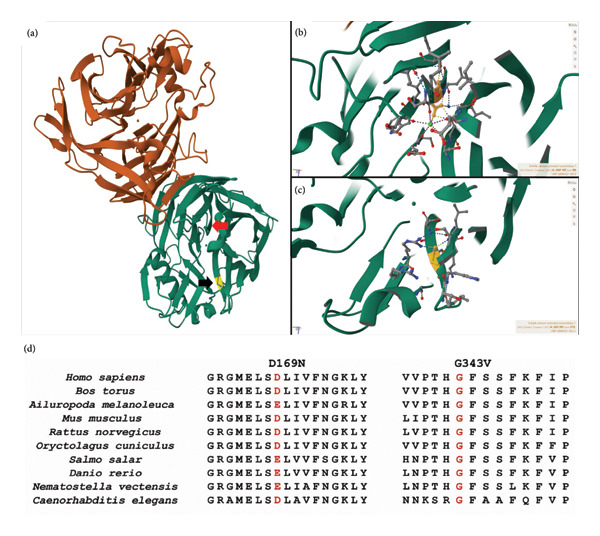 FIGURE 5