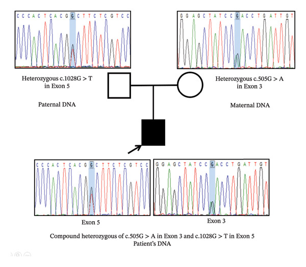 FIGURE 4