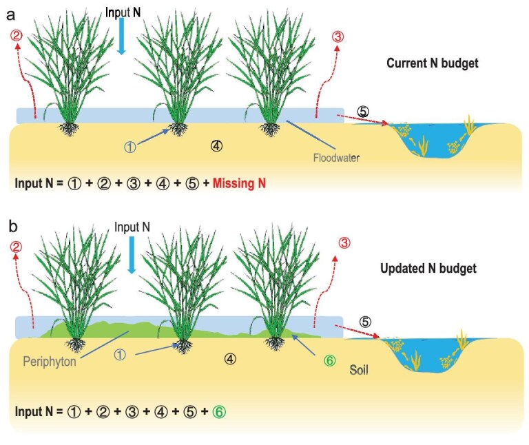Figure 5