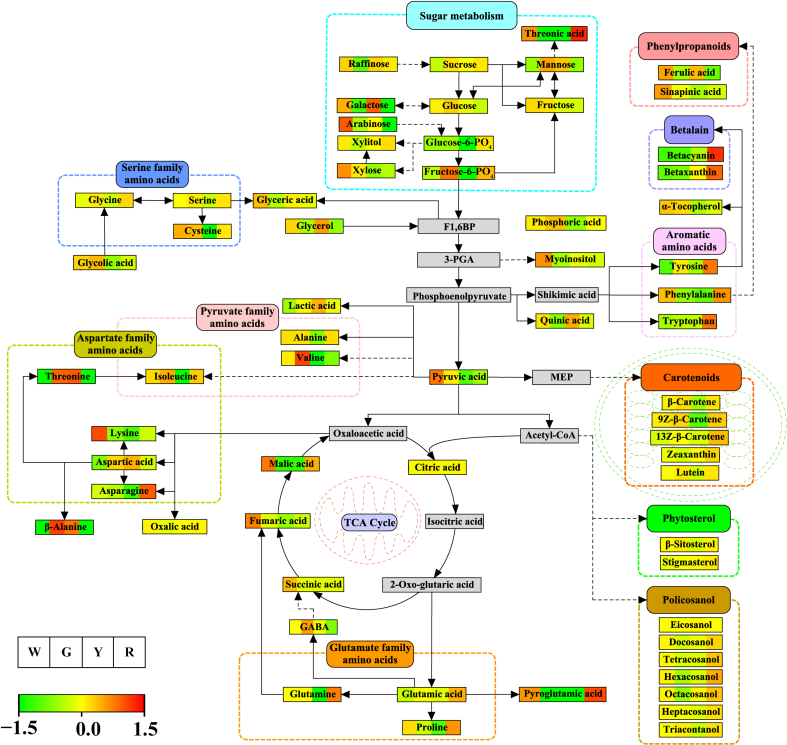Figure 5
