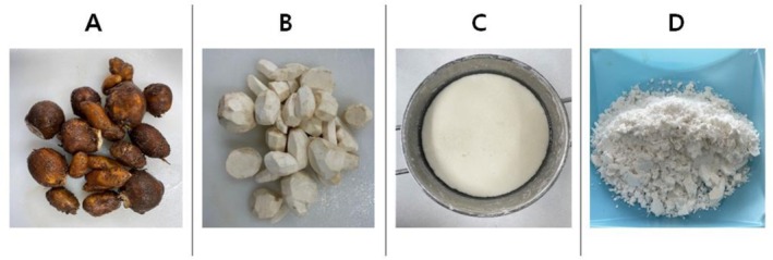 FIGURE 1