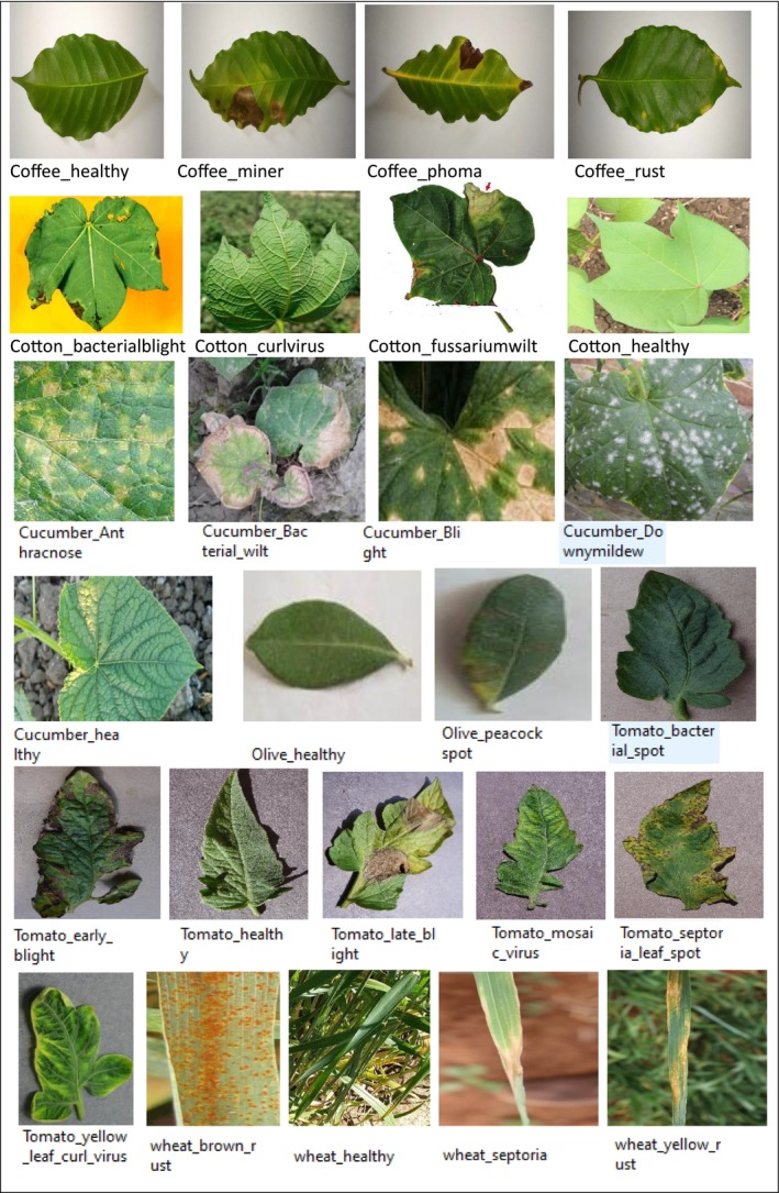 FIGURE 3