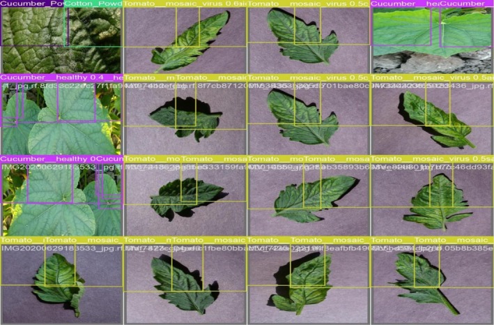 FIGURE 16