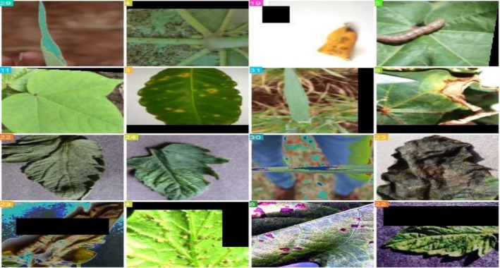 FIGURE 23