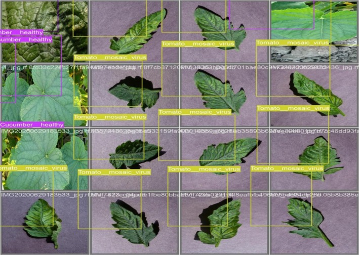 FIGURE 15