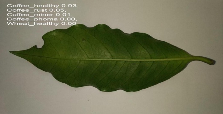 FIGURE 26