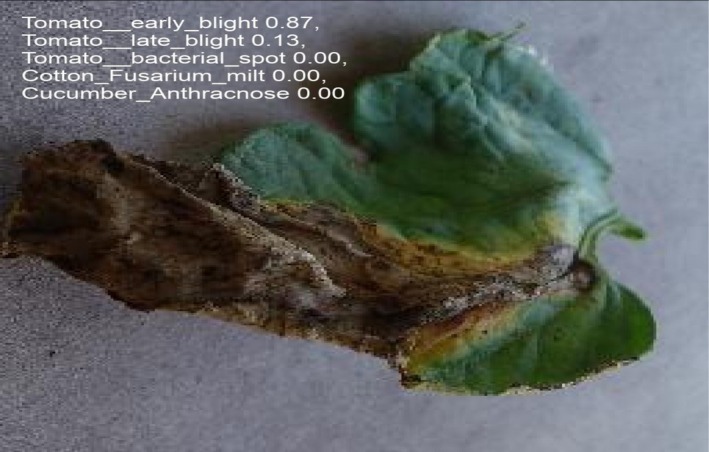 FIGURE 27