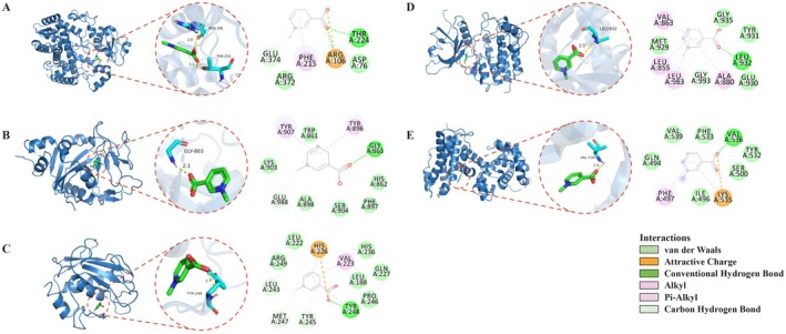 FIGURE 5