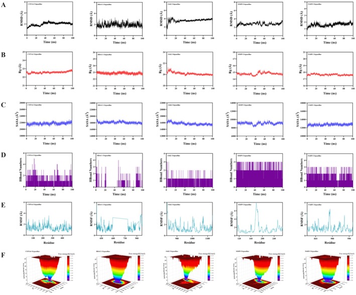 FIGURE 6