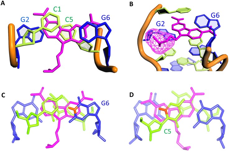 Figure 5