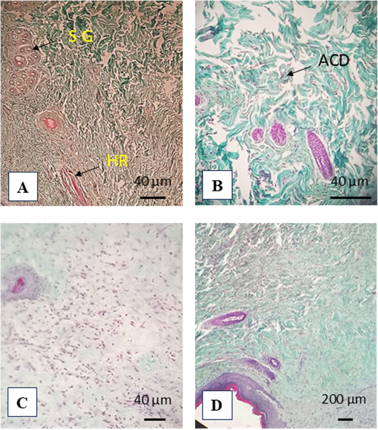 Fig. 13