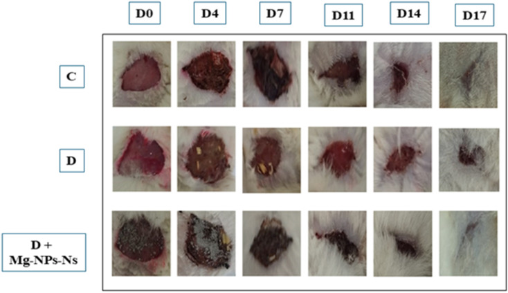 Fig. 7