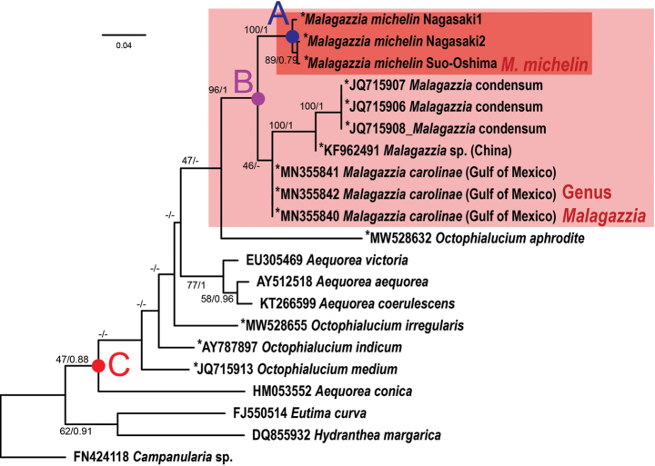 Figure 6